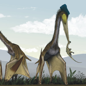 Team Page: Quizalcoatlus